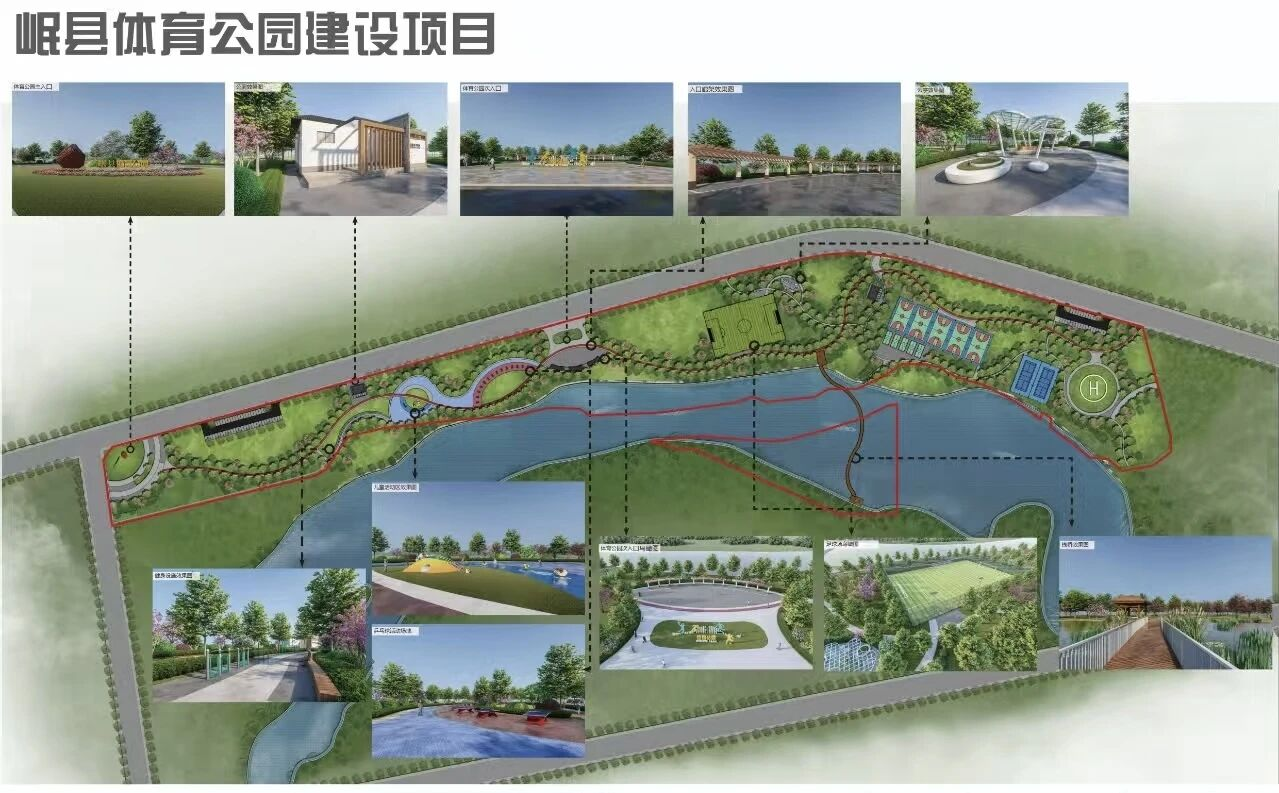 伙伴六